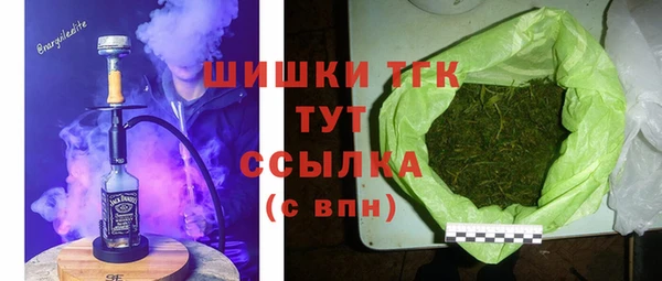 винт Бородино