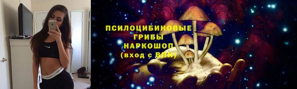 винт Бородино