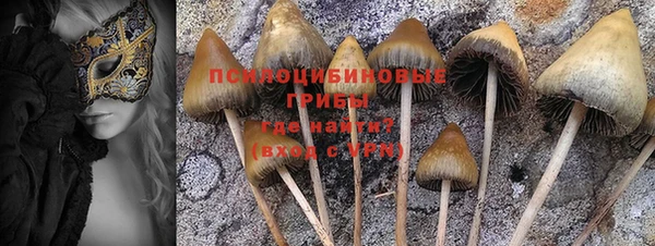 спайс Бугульма