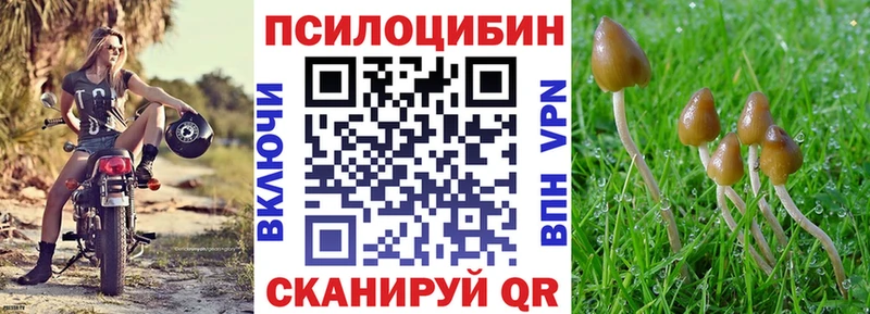 OMG вход Юрьев-Польский Галлюциногенные грибы GOLDEN TEACHER